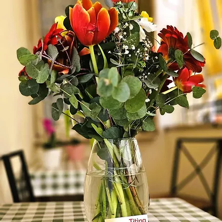 Guest house Titina Rome