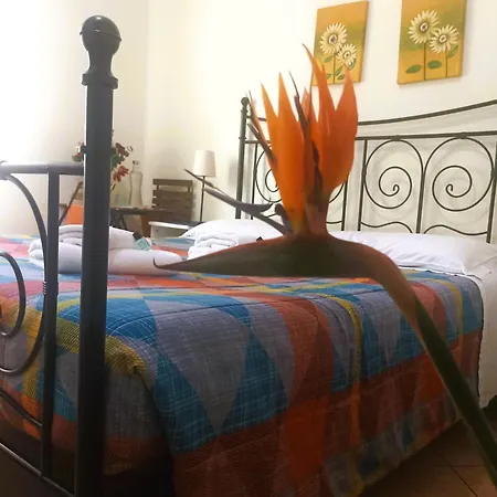 ティティーナ B＆b 4*